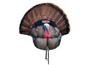 Montana Decoy Fanatic Reaping Turkey Decoy